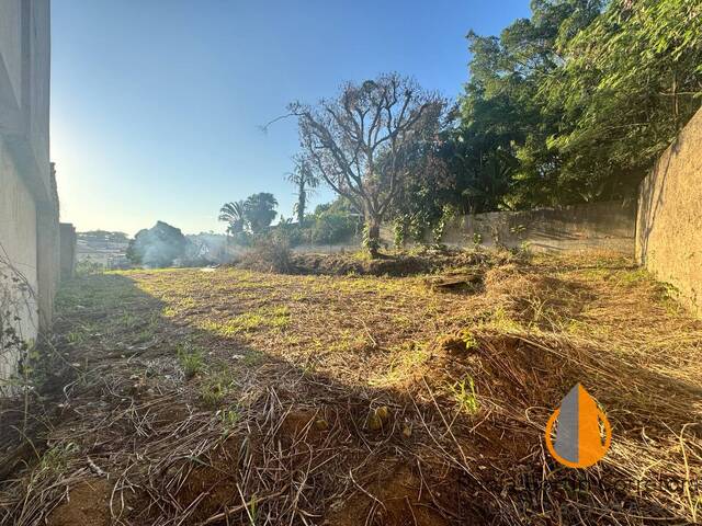 #250 - Terreno para Venda em São Gonçalo - RJ - 3